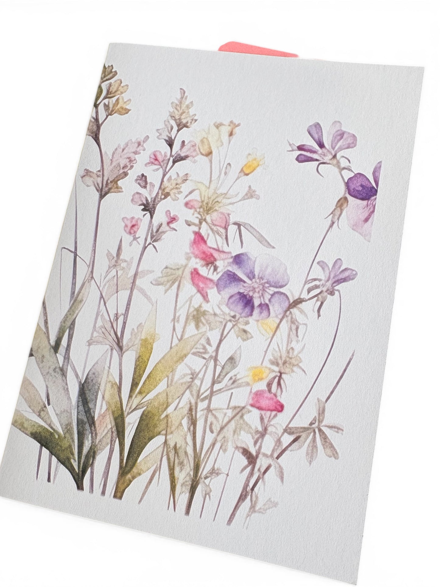 Wildflower Cards – Set of 4 A5 Designs | Blank Inside