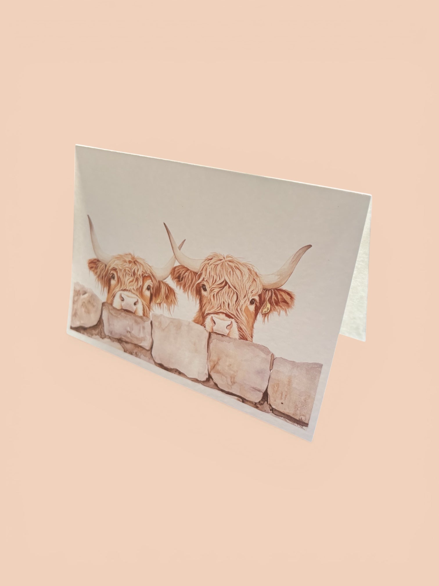 Highland Cow Card - Scottish Greeting Card