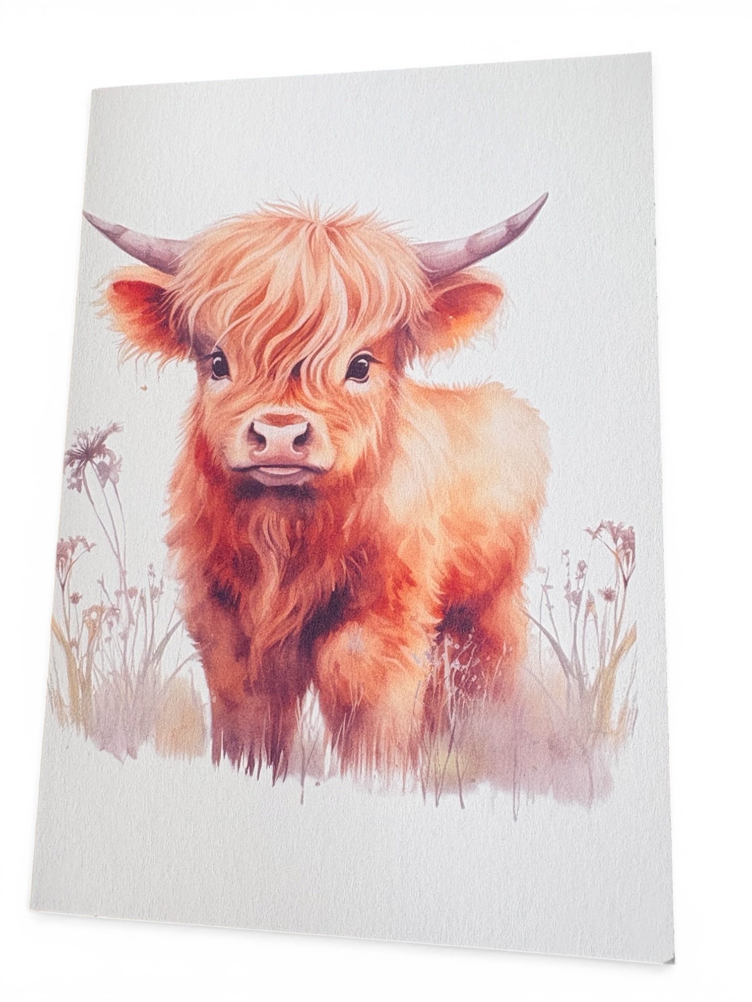 Baby Highland Cow Cards – Set of 4 A5 Designs | Handmade
