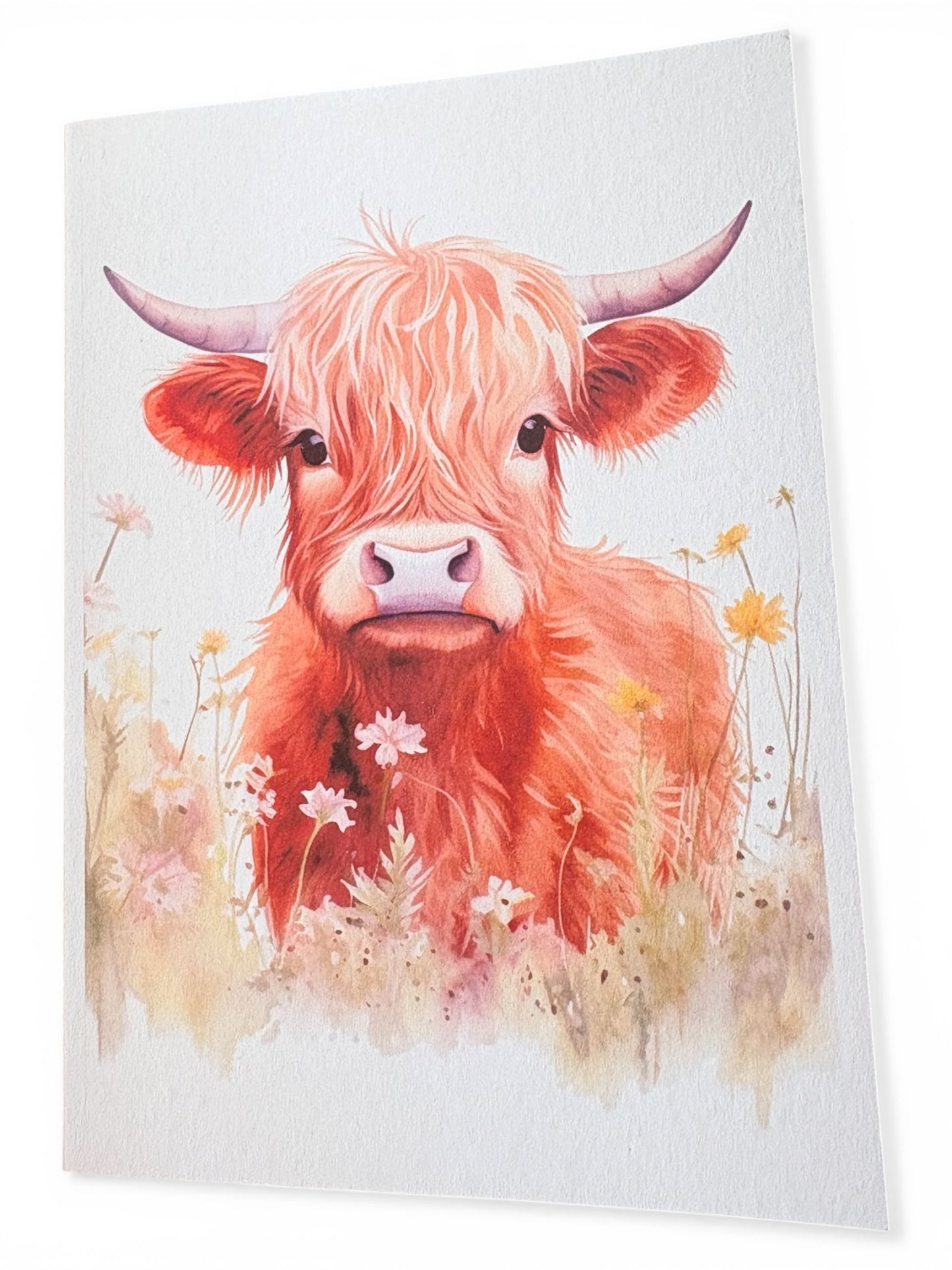 Baby Highland Cow Cards – Set of 4 A5 Designs | Handmade