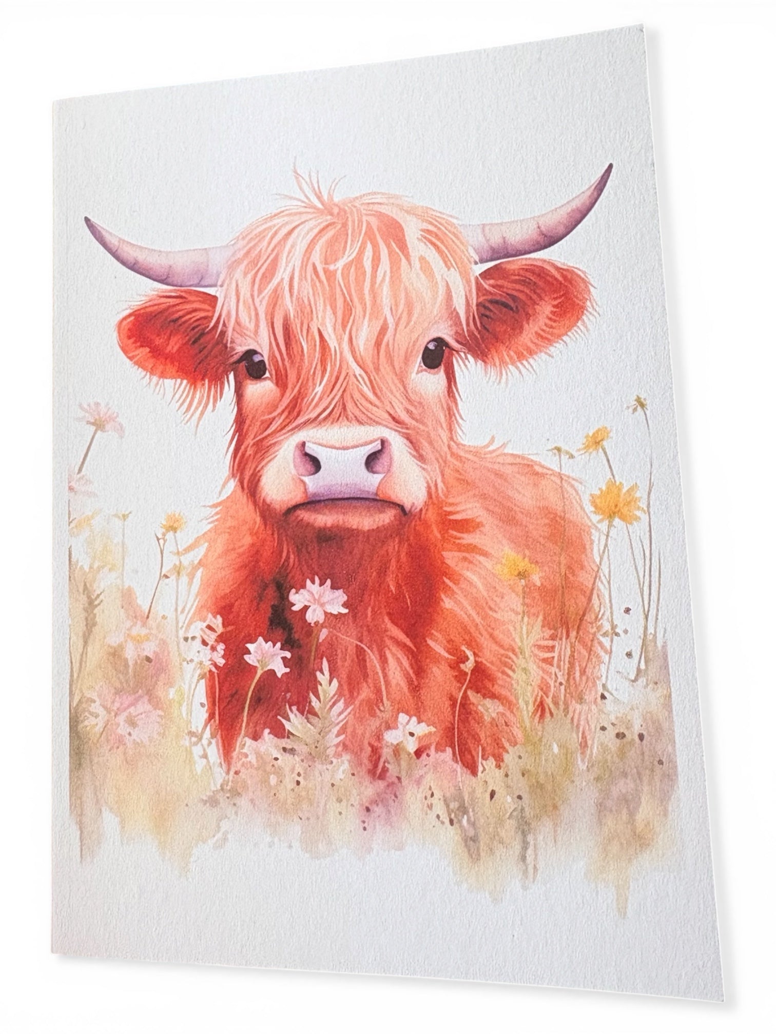 Baby Highland Cow Cards – Set of 4 A5 Designs | Handmade
