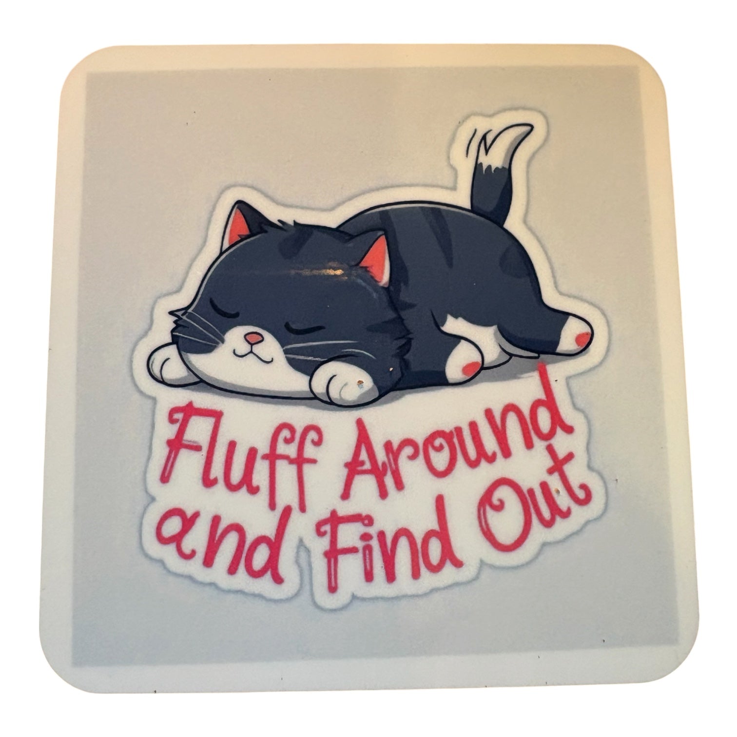 Fluffy Cat Square Coaster with Cork Backing